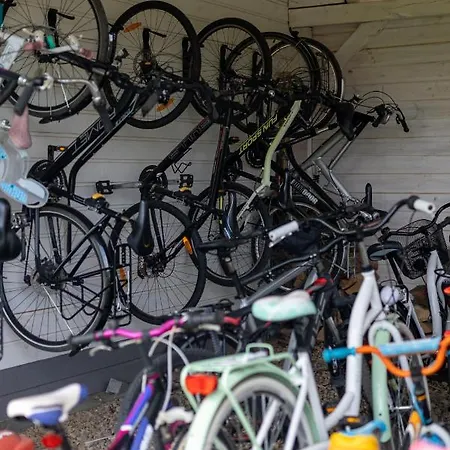 Palmowe Wzgorze - Dolny