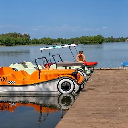 Palmowe Wzgorze - Dolny Skoszewo