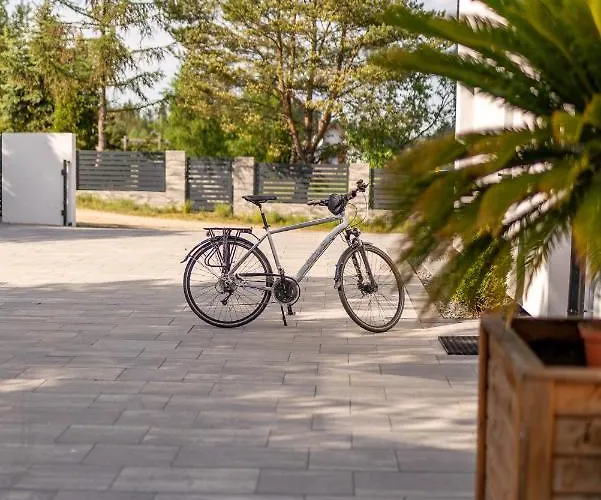 Palmowe Wzgorze - Dolny * Skoszewo