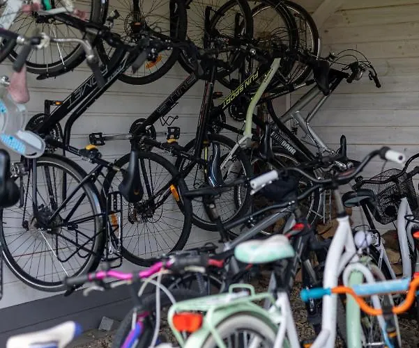 Palmowe Wzgorze - Dolny