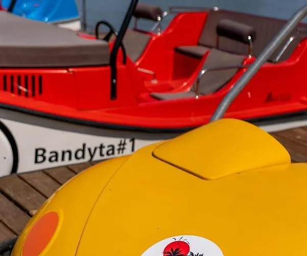 Palmowe Wzgorze - Dolny *