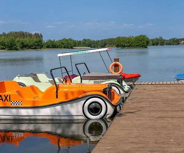 Palmowe Wzgorze - Dolny Skoszewo